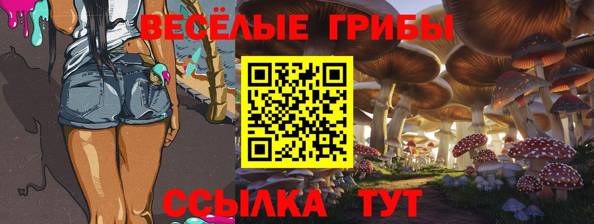 Галлюциногенные грибы Psilocybine cubensis Большой Камень