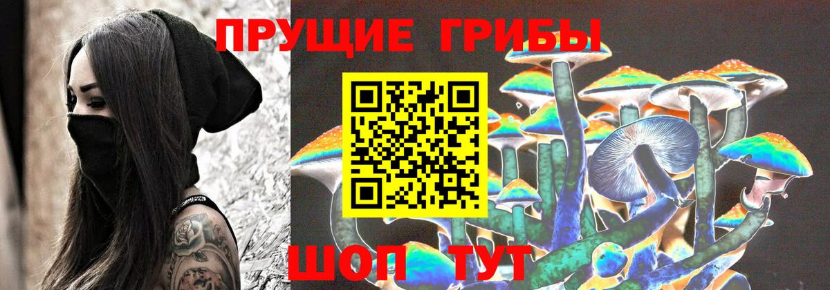Галлюциногенные грибы мицелий  Вход с VPN  закладка  Большой Камень 